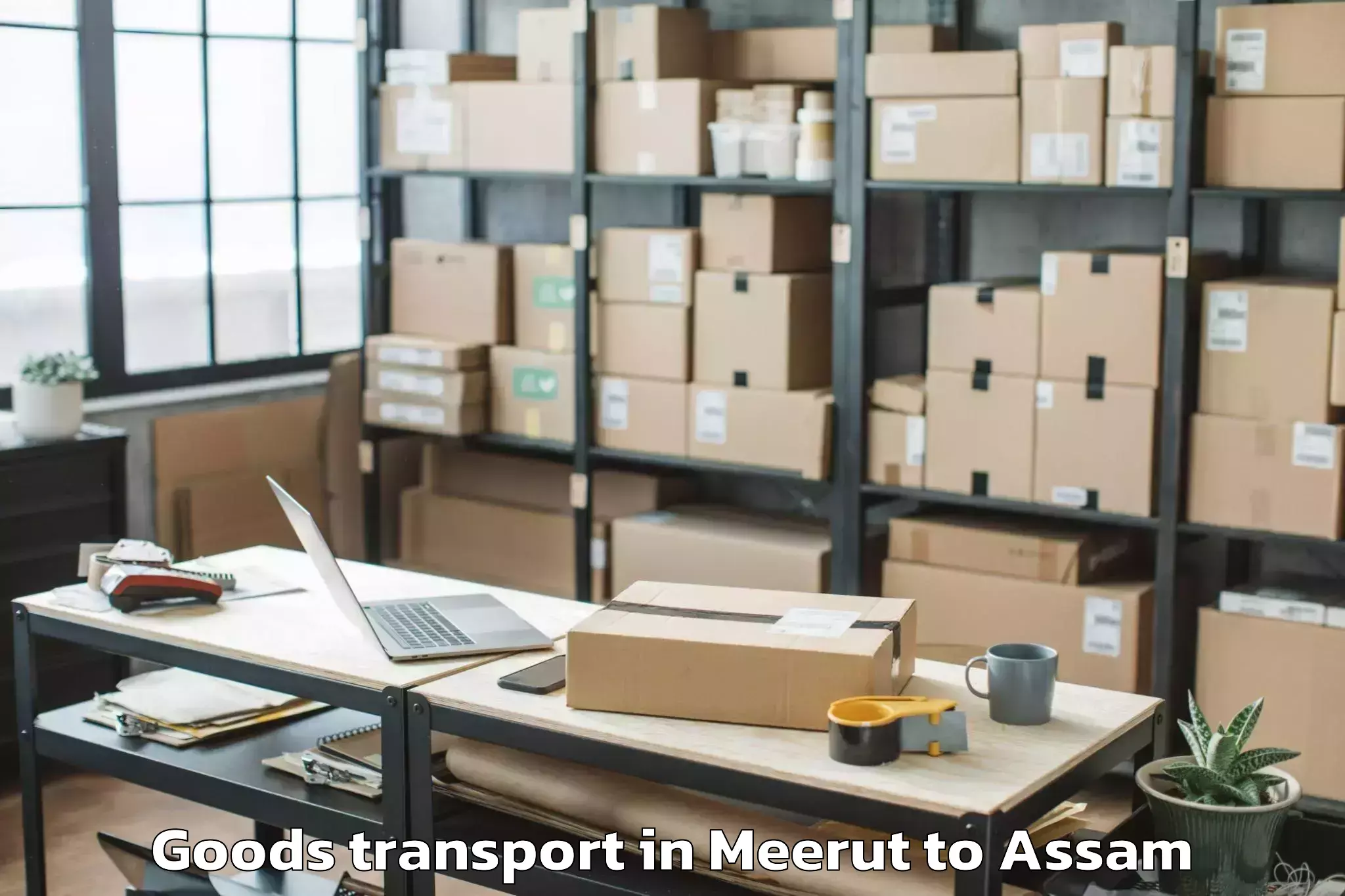 Trusted Meerut to Mariani Goods Transport